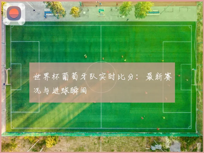 世界杯葡萄牙队实时比分：最新赛况与进球瞬间